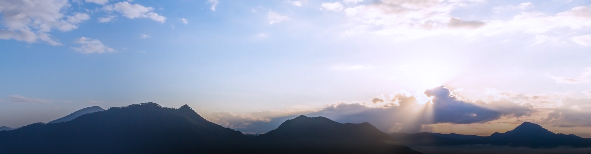 同泰生物醫(yī)藥